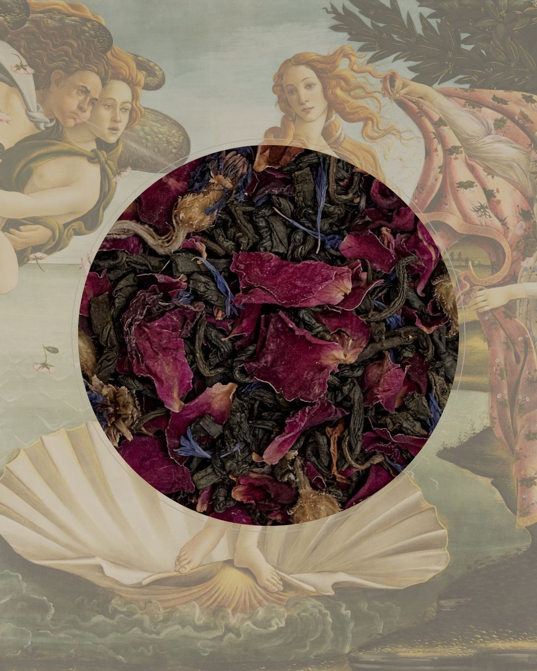 007 Birth of Venus