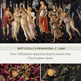 006 Primavera
