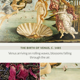 007 Birth of Venus