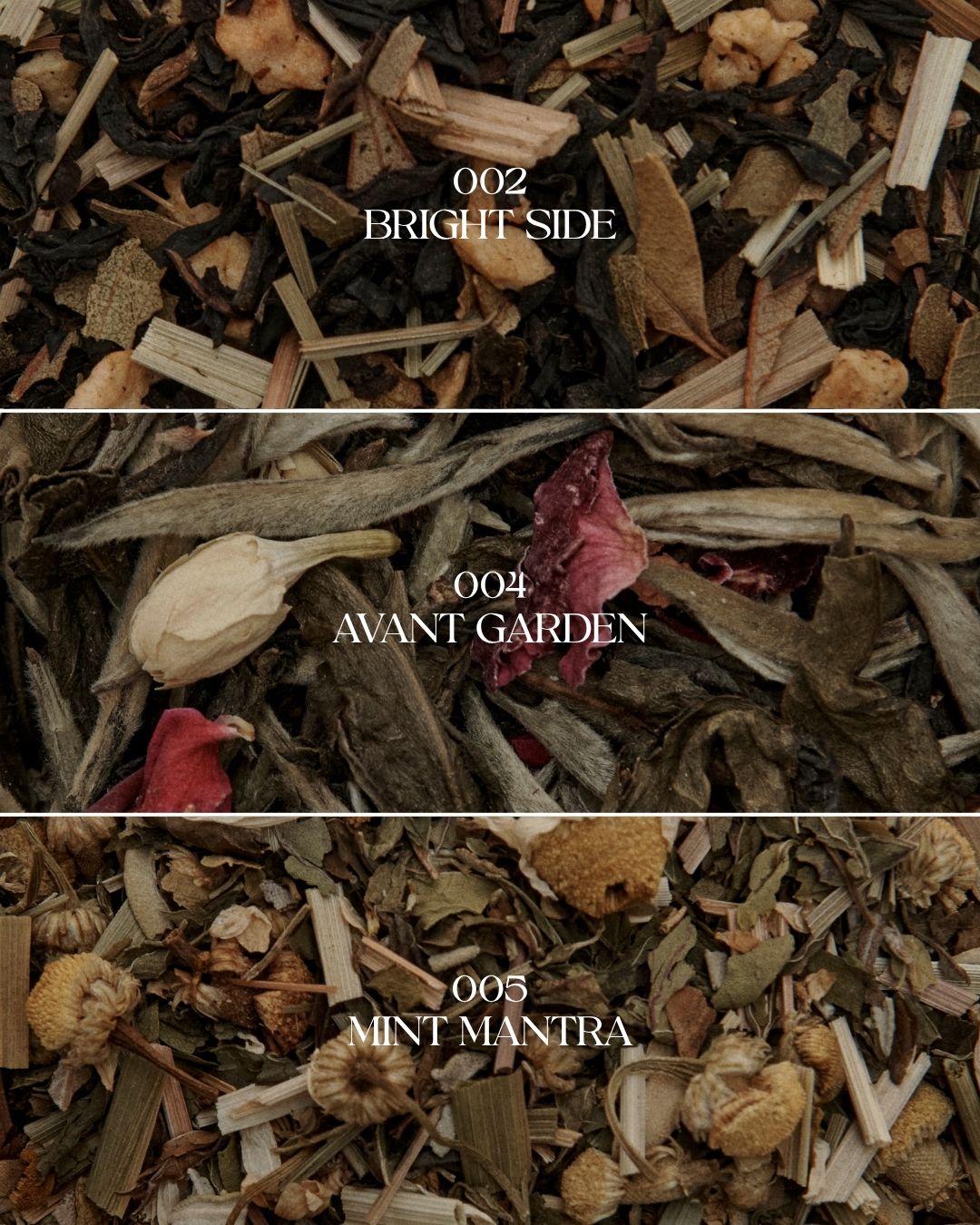 Awaken Tea Trio - Image 2 |  | Forgrave Fine Tea